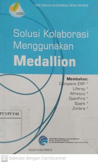 Solusi Kolaborasi Menggunakan Medallion