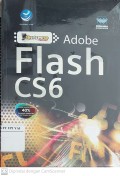 Shortcourse Adobe Flash CS6